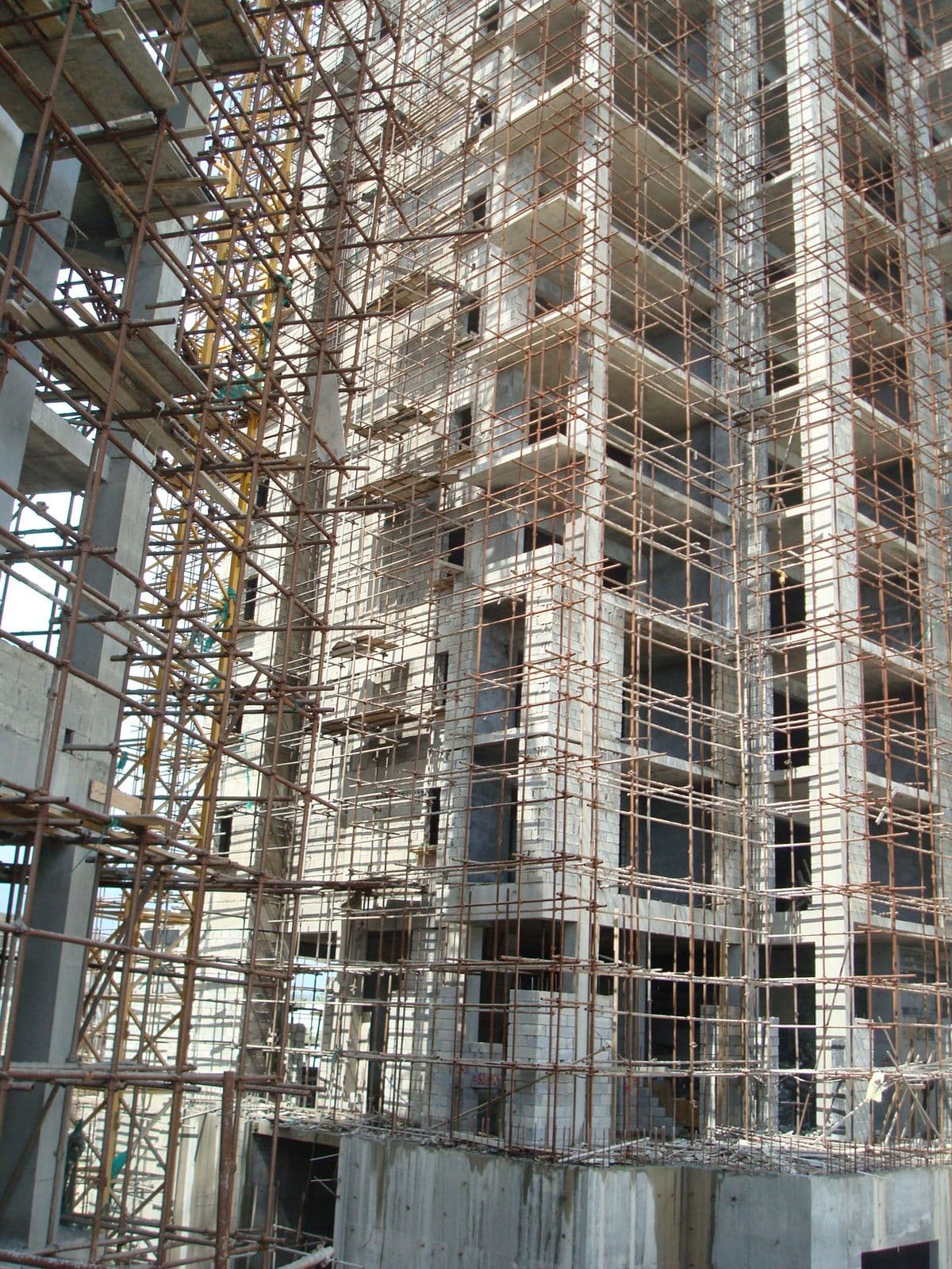 Hurlingham Property Manager Saves 20 Hours Weekly with Royalmark Automation